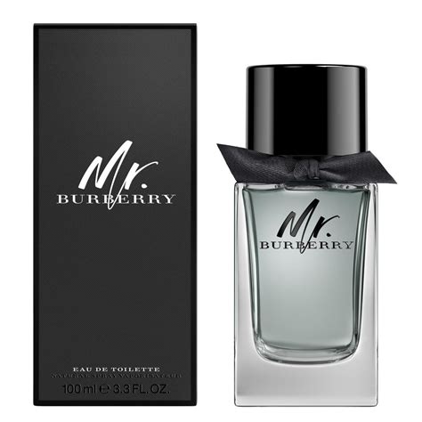 burberry mr burberry edt 100 ml